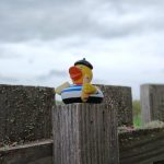 A plastic duck on a fence. Dressed in stereotypical French grab for absolutely no reason.