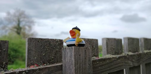 A plastic duck on a fence. Dressed in stereotypical French grab for absolutely no reason.