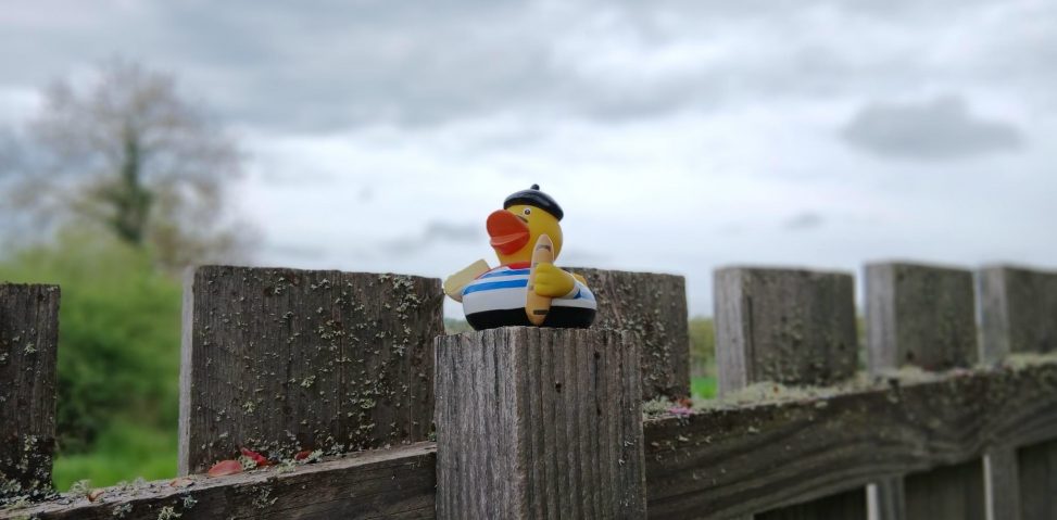 A plastic duck on a fence. Dressed in stereotypical French grab for absolutely no reason.